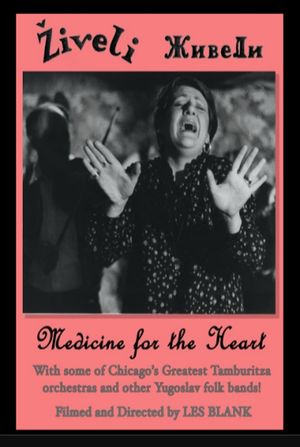Ziveli! Medicine for the Heart's poster