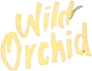 Wild Orchid's poster