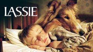 Lassie's poster