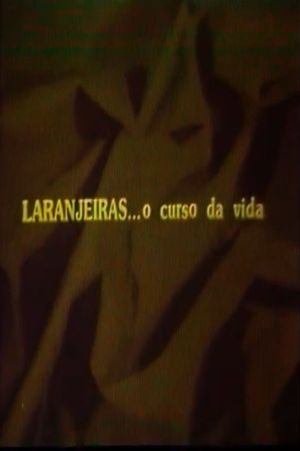 Laranjeiras... O Curso da Vida's poster