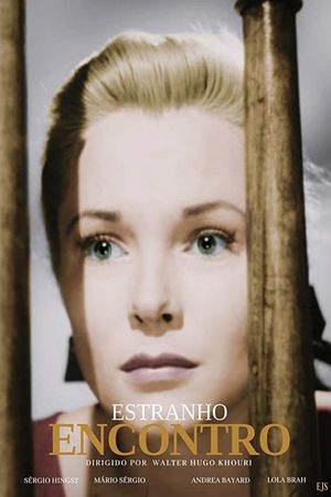 Estranho Encontro's poster