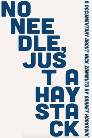 No Needle, Just A Haystack's poster