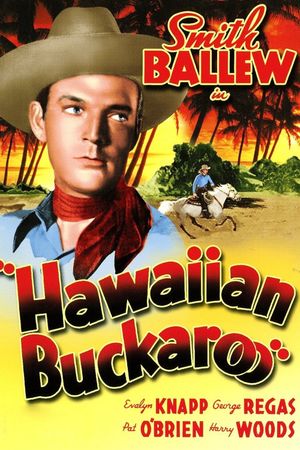 Hawaiian Buckaroo's poster