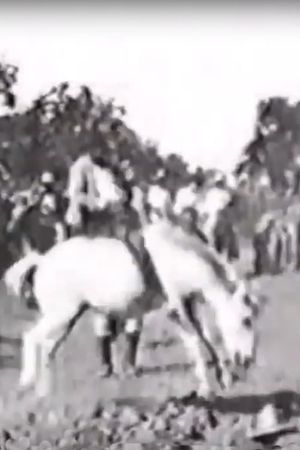 Cavalier sur un cheval rétif's poster image