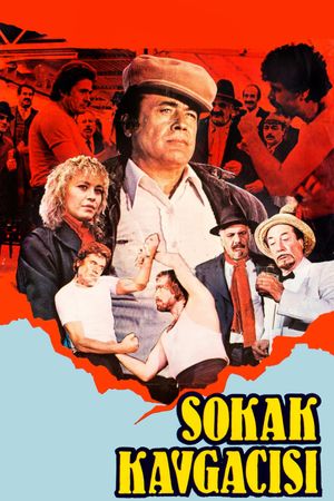 Sokak Kavgacisi's poster