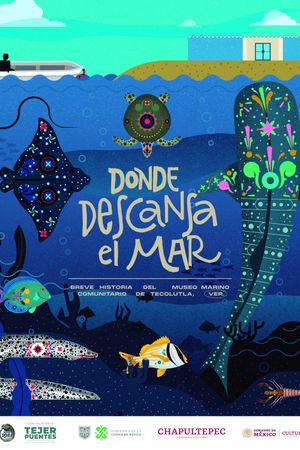 Donde descansa el mar: Breve historia del Museo Marino Comunitario de Tecolutla's poster