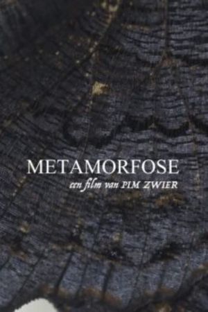 Metamorphosis's poster image