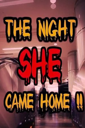 The Night She Came Home!!'s poster