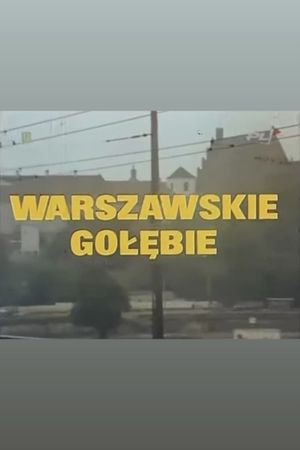 Warszawskie gołębie's poster image