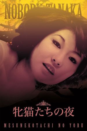 Night of the Felines's poster