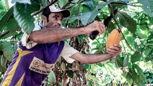 Du Chocolat Pour Sauver l'Amazonie's poster