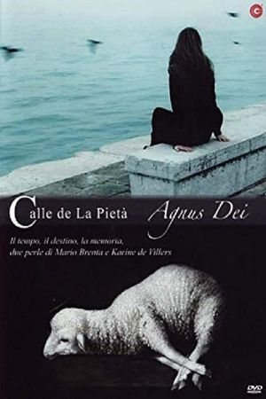 Calle de la pietà's poster