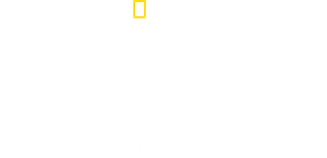 Wild Lapland's poster