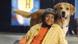 Life Is Ruff's poster