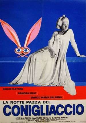 The Strange Night's poster