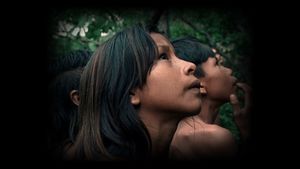 The Buriti Flower's poster