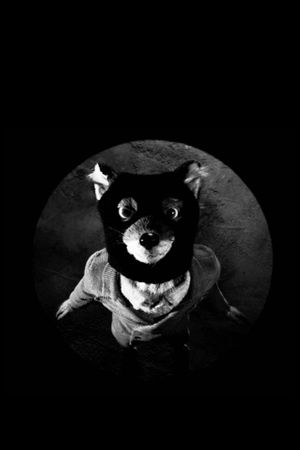 Fantastic Mr. Fox's poster