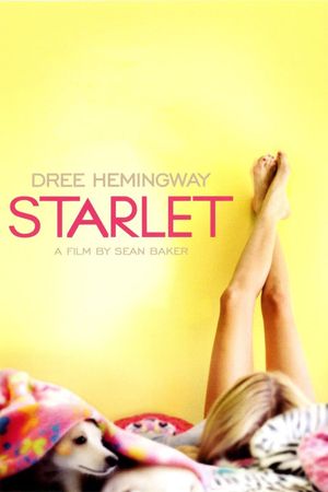 Starlet's poster