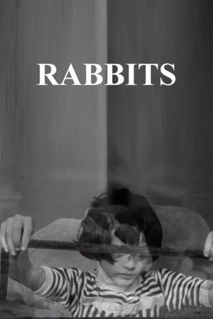 Rabbits's poster