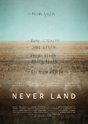 Never Land's poster image