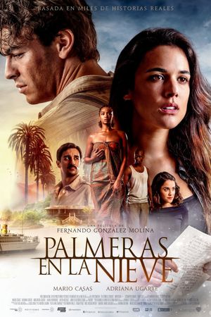Palm Trees in the Snow's poster