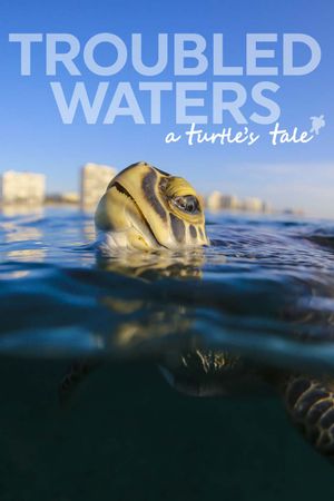 Troubled Waters: A Turtle's Tale's poster