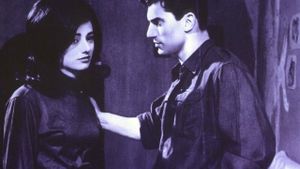 La cuccagna's poster