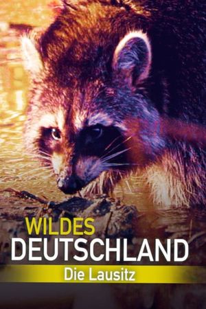 Wild Germany: Exploring Lusatia's poster