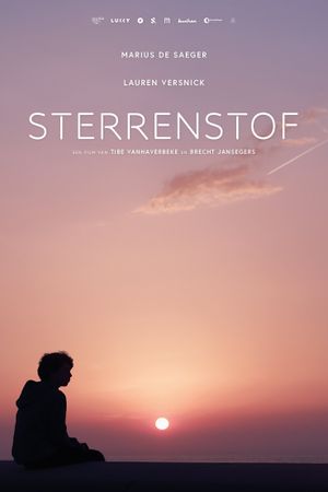 Stardust's poster