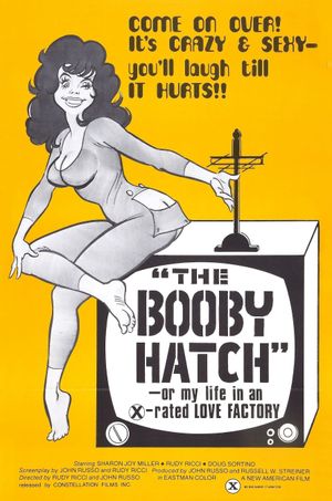 The Liberation of Cherry Janowski's poster