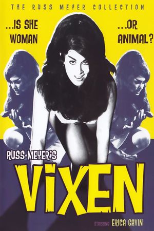 Vixen!'s poster