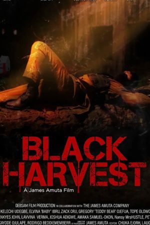 Black Harvest's poster image