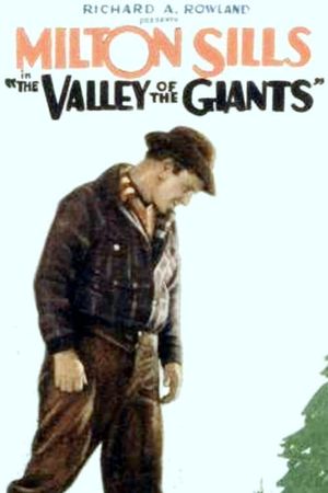 The Valley of the Giants's poster