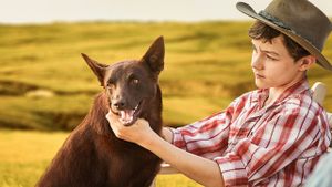 Red Dog: True Blue's poster