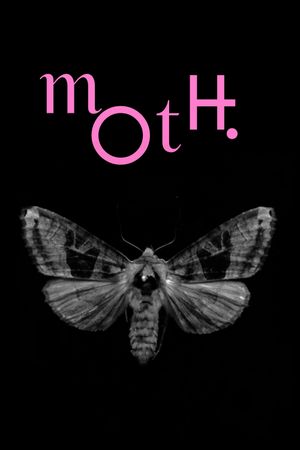 Moth's poster image