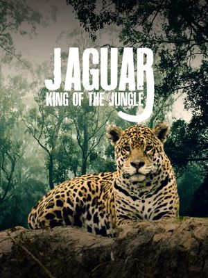 Jaguar: King of the Jungle's poster