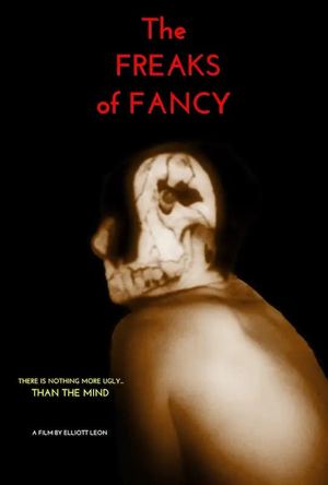 The Freaks of Fancy's poster
