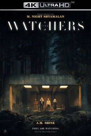 The Watchers's poster