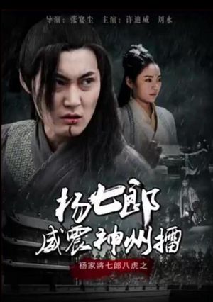 杨七郎威震神州擂's poster