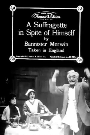 A Suffragette in Spite of Himself's poster