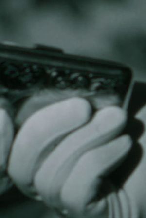 Crossing the Line's poster