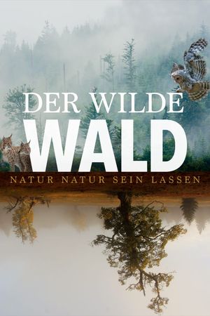 Der Wilde Wald's poster