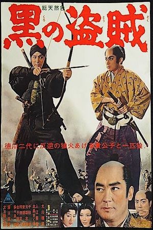 The Thief in Black's poster