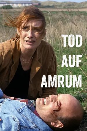 Tod auf Amrum's poster