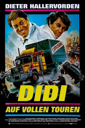 Didi Drives Me Crazy's poster