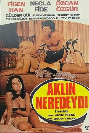 Aklin Neredeydi's poster