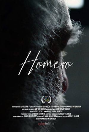 Homero's poster image