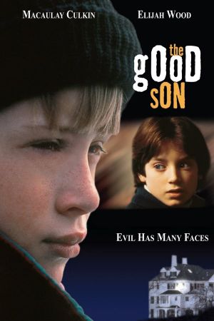 The Good Son's poster