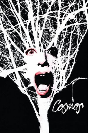 Cosmos's poster