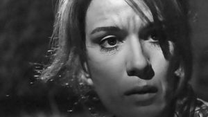The Fear's poster